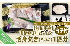 【冷蔵配送】淡路島3年とらふぐ（活身欠き【ミガキ】１匹分）白子付◆配送期間12月1日～2月28日