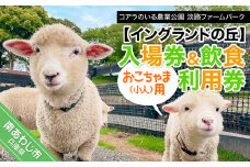 コアラのいる農業公園　淡路ファームパーク　イングランドの丘　入場券＆飲食利用券（小人用）