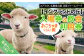 画像はイメージです。