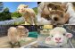 画像はイメージです。