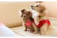 愛犬と過ごす ドギーヴィラ デラックスルーム　イメージ