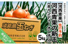 【先行予約】河西青果の新玉（キャンディーオニオン）５kg　◆配送５月初旬～６月末