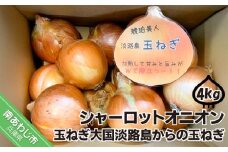 淡路島極熟玉葱4kg　シャーロットオニオン　玉ねぎ大国淡路島からの玉ねぎ