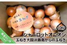 淡路島極熟玉葱10kg　シャーロットオニオン　玉ねぎ大国淡路島からの玉ねぎ
