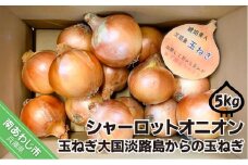 淡路島極熟玉葱5kg　シャーロットオニオン　玉ねぎ大国淡路島からの玉ねぎ