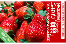 いちご「章姫」～ひょうご安心ブランド認証～◆配送 1月上旬～3月末頃