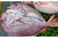 【山田海産物】淡路島えびす鯛（献上鯛） 2枚入り