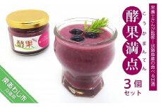 管理栄養士が監修した食べる甘酒　【酵果満点】　3個セット（ブルーベリー）