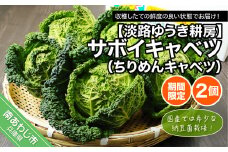 【淡路ゆうき耕房】国産では希少な納豆菌栽培！【期間限定】サボイキャベツ（ちりめんキャベツ）2個