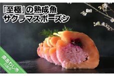 「至極」の熟成魚 サクラマスボーズシ