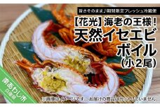 【旨さそのまま♪期間限定フレッシュ冷蔵便】海老の王様！天然イセエビボイル（小２尾）