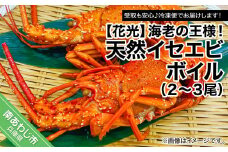 【受取も安心♪冷凍便】海老の王様！天然イセエビボイル（2尾～3尾）