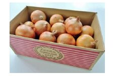 【淡路島玉ねぎ工房　善太】【サイズ色々】淡路島産玉ねぎ ５kg
