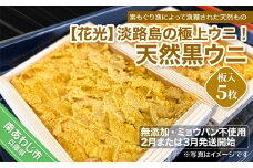 ★予約受付★【無添加・ミョウバン不使用・期間/数量限定】淡路島の極上ウニ！天然黒ウニ（板入５枚）◆２月又は３月発送開始