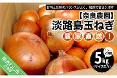 農家直送！淡路島玉ねぎ ≪５kgサイズ色々≫