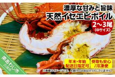 【受取も安心♪冷凍便】【年末年始配送日指定可】海老の王様！天然イセエビボイル（中2尾～3尾）