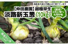 【新玉予約！】超極早生新玉葱「福寿玉ねぎ」10kg