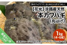 淡路産天然本カワハギ（丸はげ）1kg