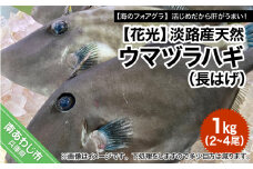 淡路産天然ウマヅラハギ（長はげ）1kg