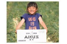 淡路島たまねぎＡＩＫＵ玉（愛育玉）５kg