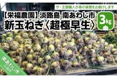 新玉ねぎ　淡路島　南あわじ市　3ｋｇ　超極早生（配送１月下旬～３月中旬）