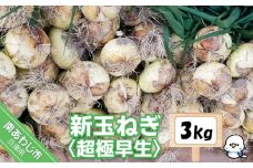 新玉ねぎ　淡路島　南あわじ市　3ｋｇ　超極早生【配送１月下旬～３月下旬】