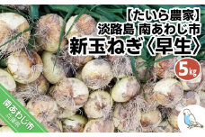 新玉ねぎ　淡路島　南あわじ市　5ｋｇ　早生　◆配送4月下旬～5月下旬