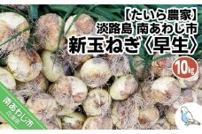 新玉ねぎ　淡路島　南あわじ市　10ｋｇ　早生　◆配送4月中旬～5月下旬