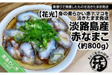 【あわじ島冬の珍味！身の柔らかい赤ナマコを活きたまま発送】淡路島産 赤なまこ（活）約800ｇ