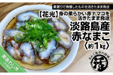 【あわじ島冬の珍味！身の柔らかい赤ナマコを活きたまま発送】淡路島産 赤なまこ（活）約1ｋｇ