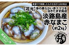 【あわじ島冬の珍味！身の柔らかい赤ナマコを活きたまま発送】淡路島産 赤なまこ（活）約2ｋｇ