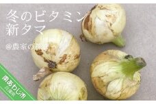 冬のビタミン新タマ5kg