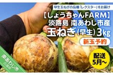 【新玉予約】淡路島　南あわじ市産玉ねぎ3kg　早生　◆配送5月～