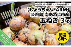 淡路島　南あわじ市産玉ねぎ3kg　◆配送6月～