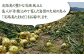 甘さに自信!! ほんまもん!!