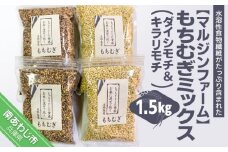 淡路島 南あわじ産　もちむぎミックス 1.5kg