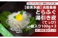 【若男水産】とらふぐ 湯引き皮 (てっぴ)