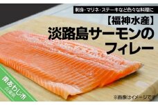 ☆期間限定☆淡路島サーモンのフィレー