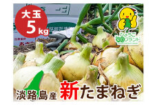 【大玉５㎏】兵庫県認証★特別栽培★淡路島新たまねぎ