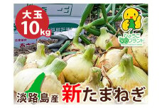 【大玉10㎏】兵庫県認証★特別栽培★淡路島新たまねぎ