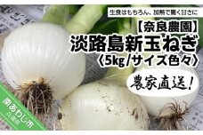農家直送！淡路島新玉ねぎ ≪５kgサイズ色々≫  