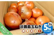 農家直送！淡路島玉ねぎ ≪５kgサイズ色々≫