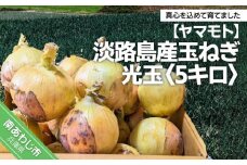 淡路島産玉ねぎ光玉 5キロ