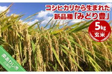 令和６年産・玄米『みどり豊』５kg　10月初旬頃から発送