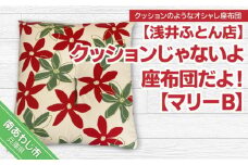 クッションじゃないよ座布団だよ！【マリーＢ】