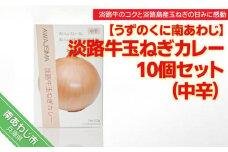 化学調味料不使用【淡路牛玉ねぎカレー】（中辛）10個セット