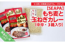 もち麦と玉ねぎカレー中辛３箱セット