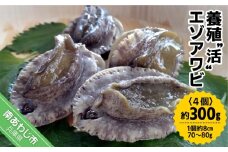【中尾満男水産】【淡路島産】養殖“活”エゾアワビ4個 約300g (1個約8cm 70～80g)