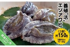 【中尾満男水産】【淡路島産】養殖“活”エゾアワビ2個 約150g (1個約8cm 70～80g)