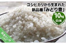 令和６年産・白米『みどり豊』10kg　10月初旬頃から発送
